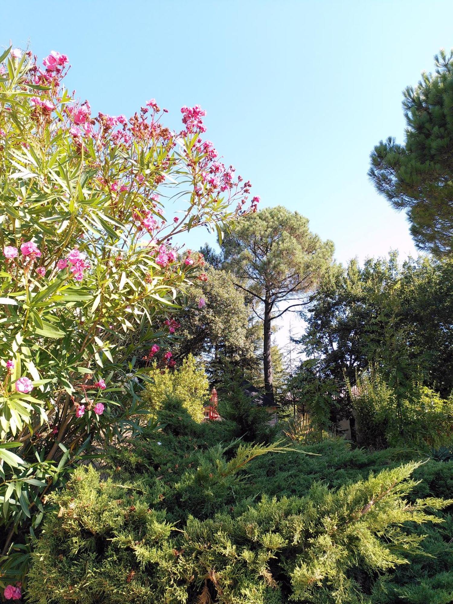 Brin D Ardeche Bed & Breakfast Lentilleres Exterior foto