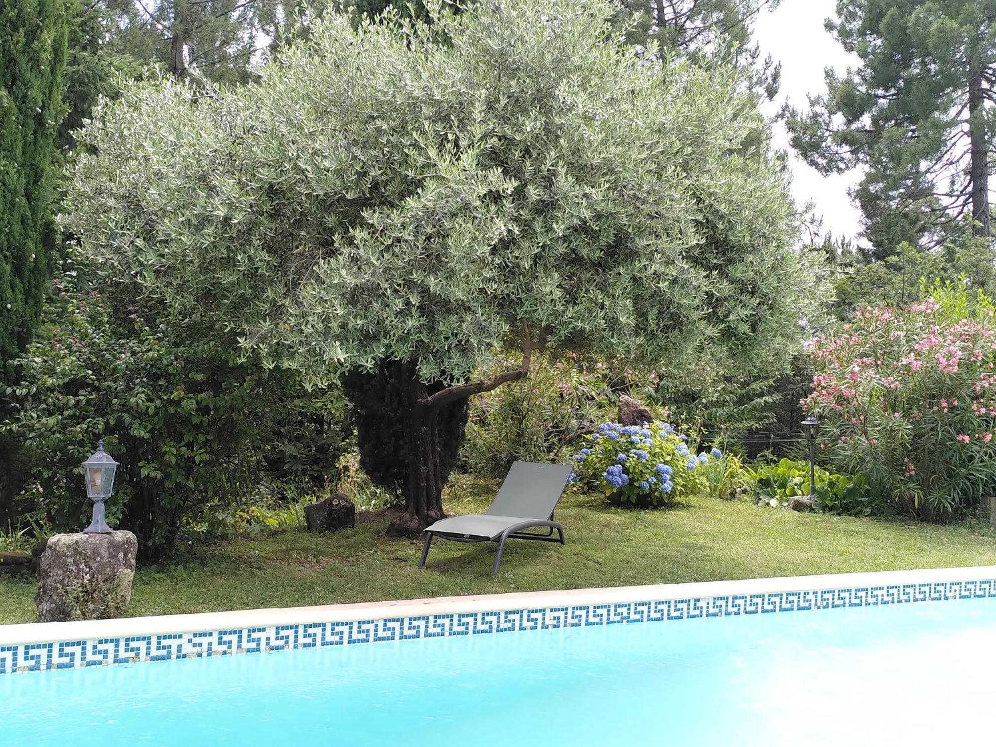 Brin D Ardeche Bed & Breakfast Lentilleres Exterior foto